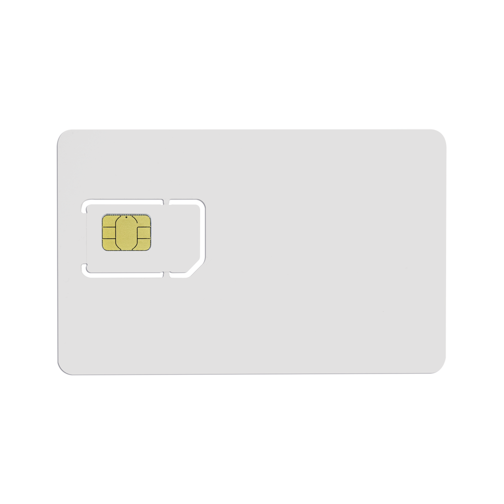 RENOVACION25MB-AD-1-l - Digital Shop México.