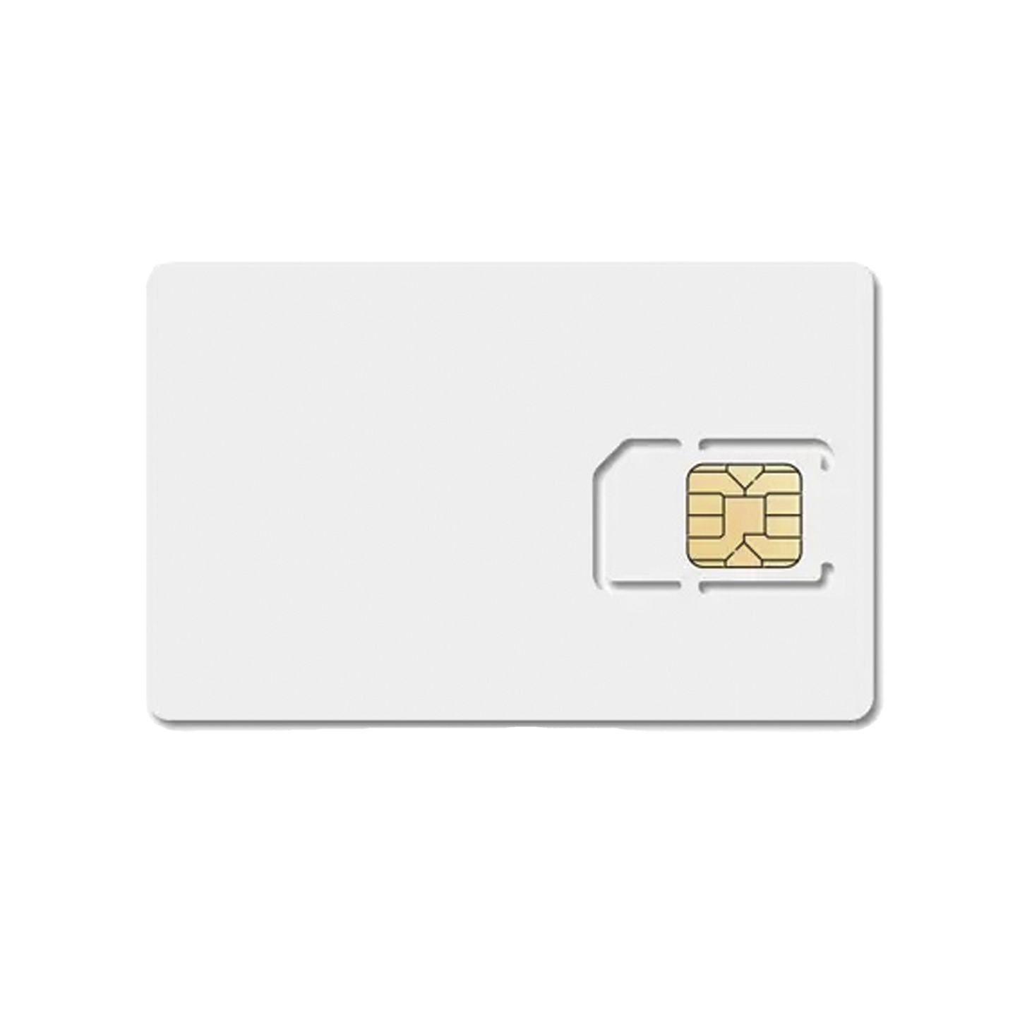 SIM600MB1Y-h - Digital Shop México.