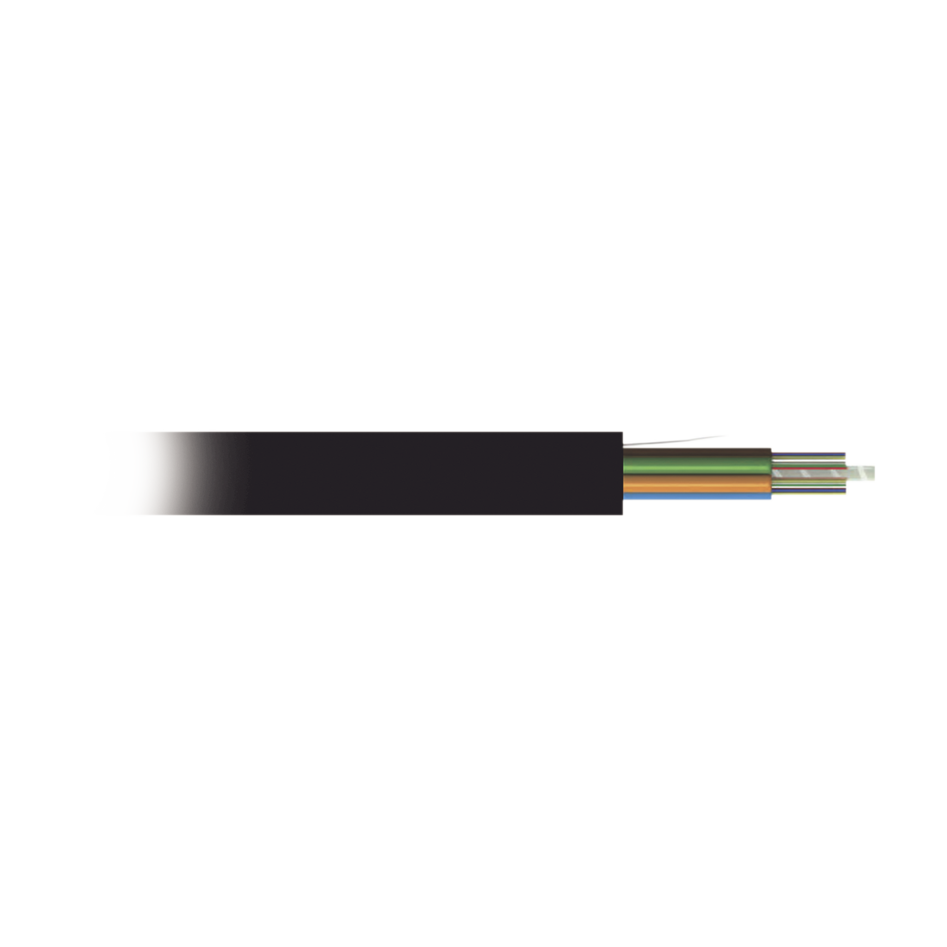 12TRUNKCABLE-h - Digital Shop México.