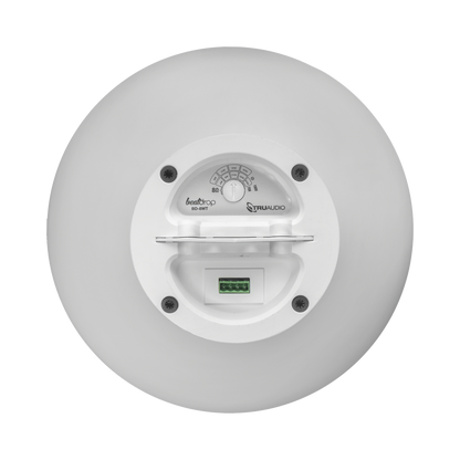 BD8WT-AD-2-l - Digital Shop México.