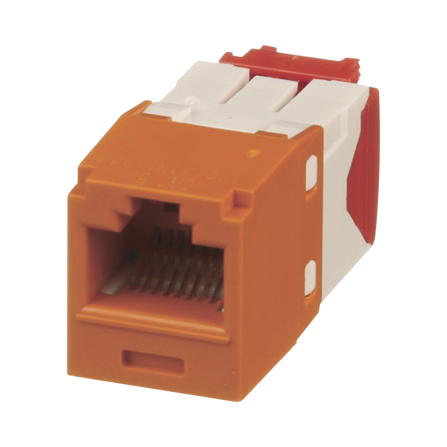CJ5E88TGOR-h - Digital Shop México.