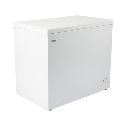 EPLFZ250V2-h - Digital Shop México.