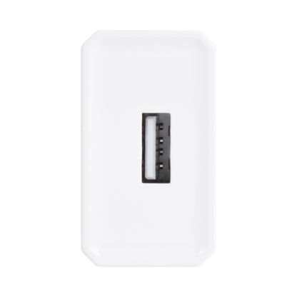 PLUSB1000V-AD-2-l - Digital Shop México.