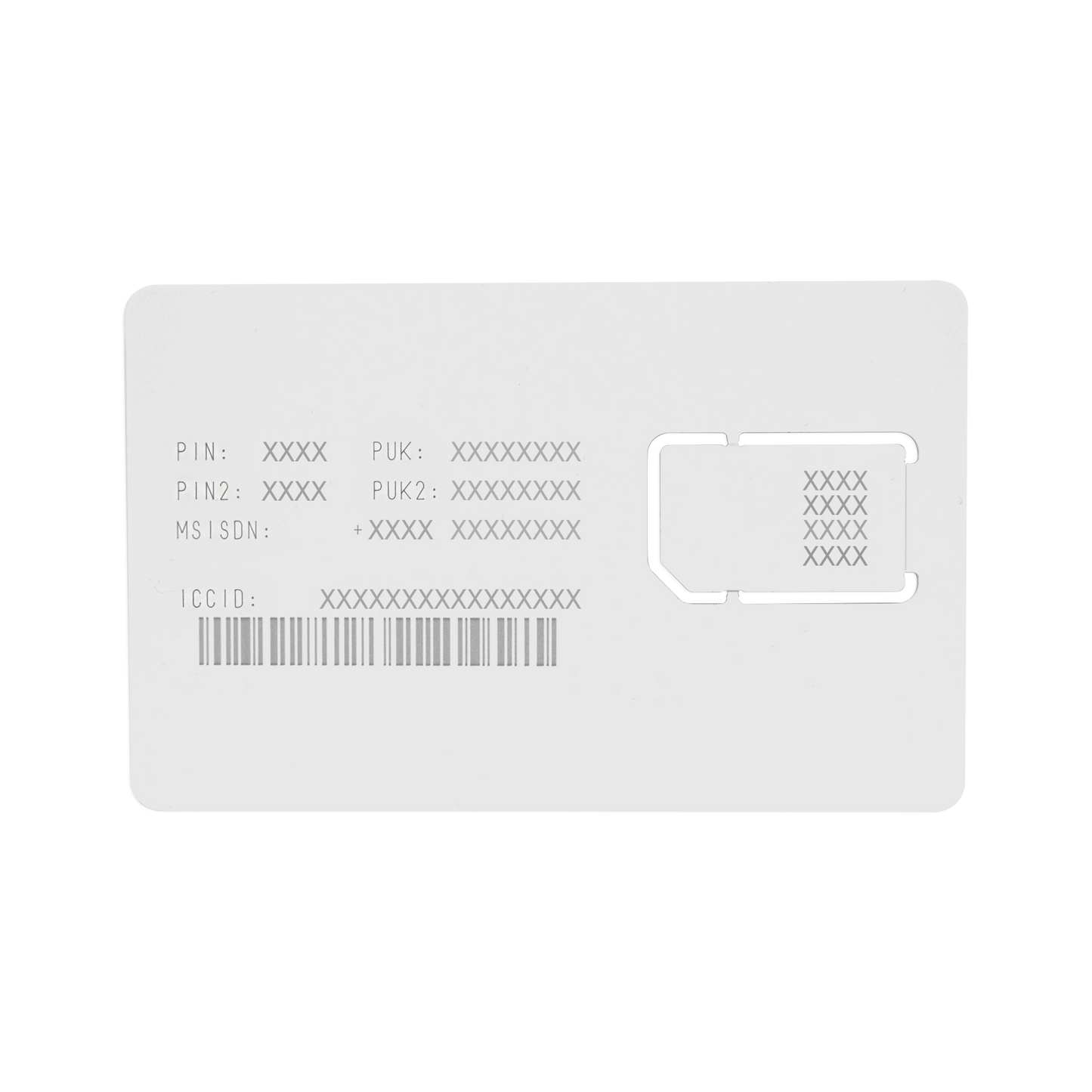 RENOVACION25MB-h - Digital Shop México.