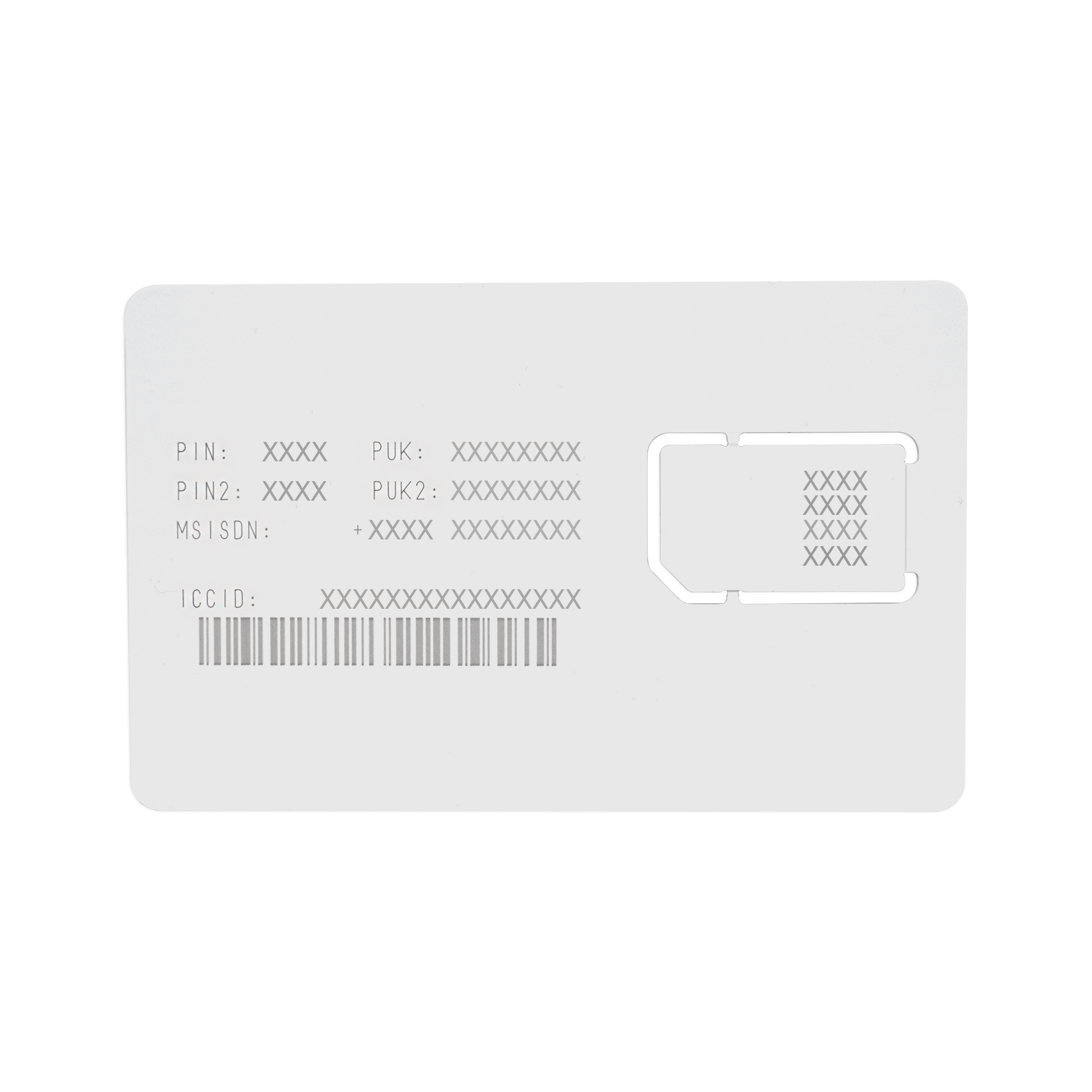 RENOVACION25MB-h - Digital Shop México.