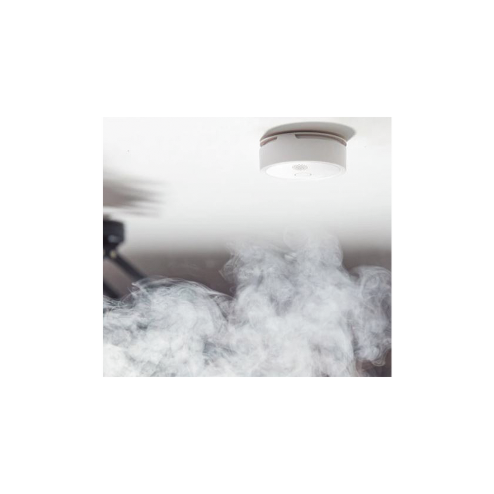 SHELLYPLUSSMOKE-AD-2-l - Digital Shop México.