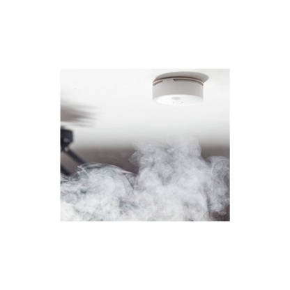 SHELLYPLUSSMOKE-AD-2-l - Digital Shop México.