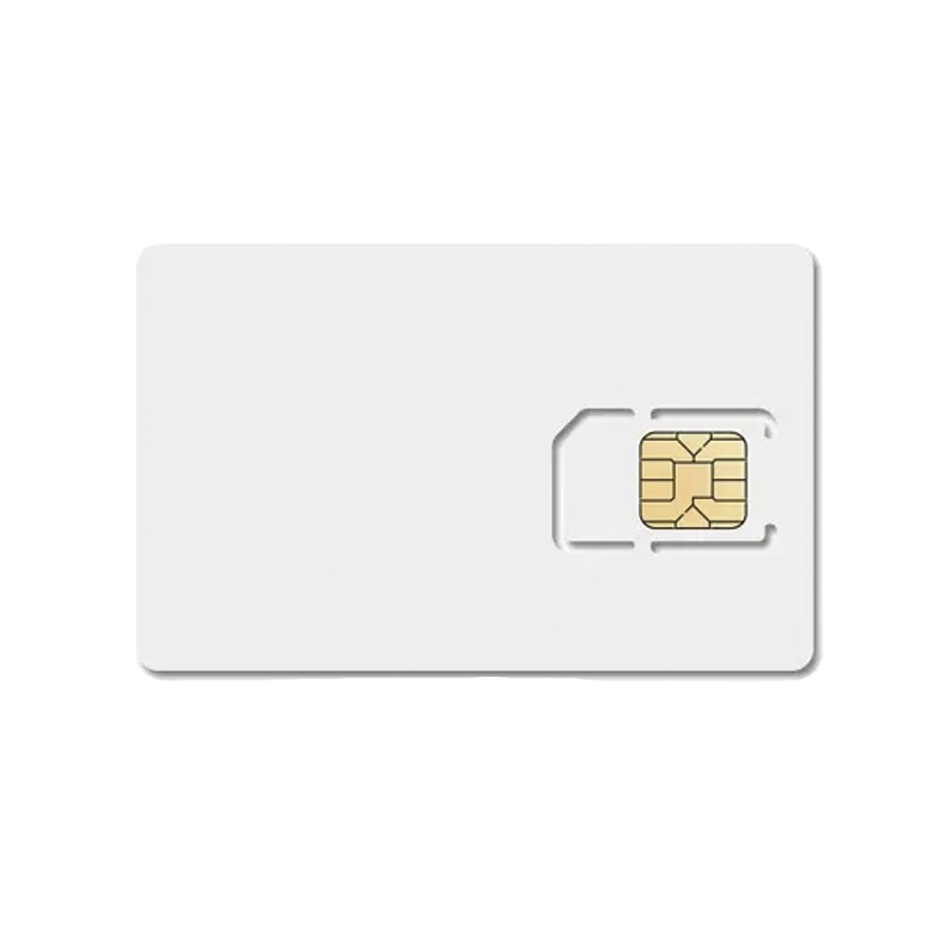 SIM600MB1Y-h - Digital Shop México.