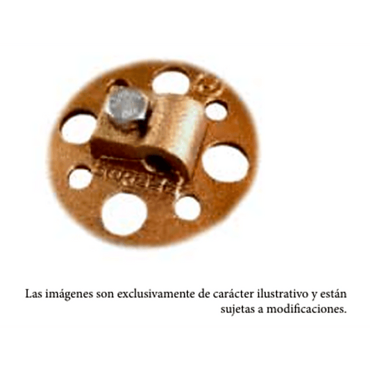 portada_0S2000_3ae1ceca-2450-42d2-be51-82c8299acdf9 - Digital Shop México.