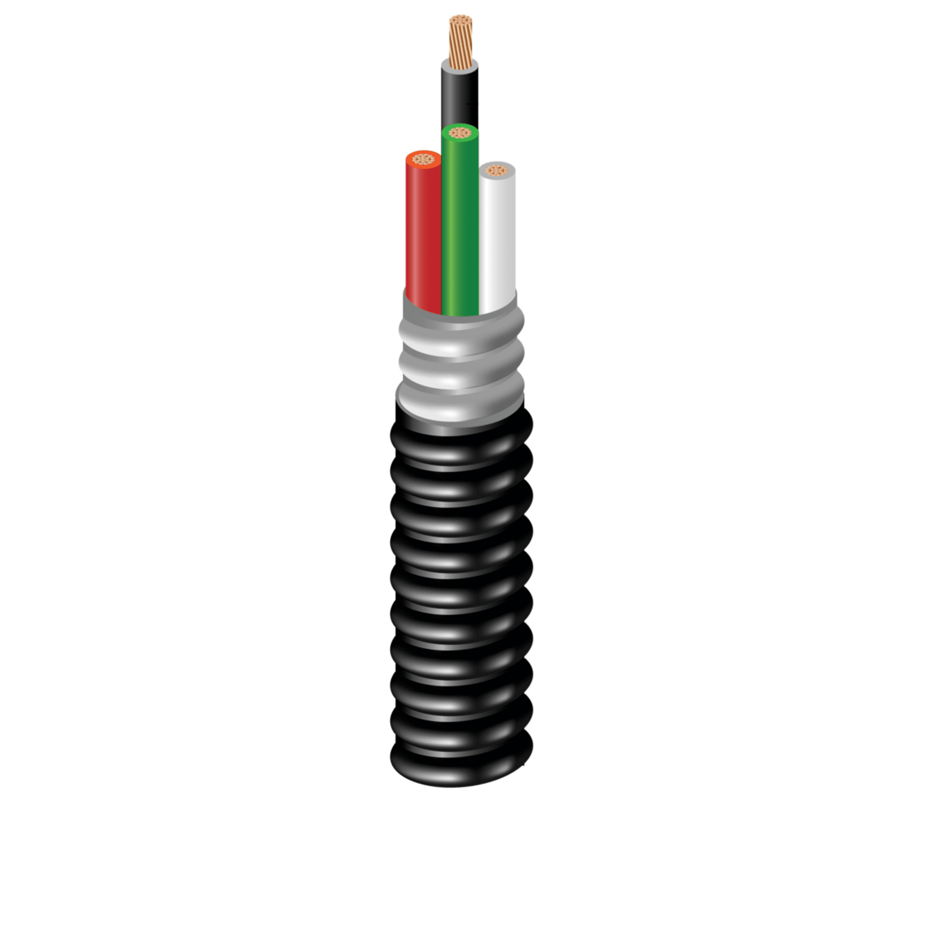 portada_0S2000_53dfe841-d974-45f3-b0b2-ecfdc02320aa - Digital Shop México.