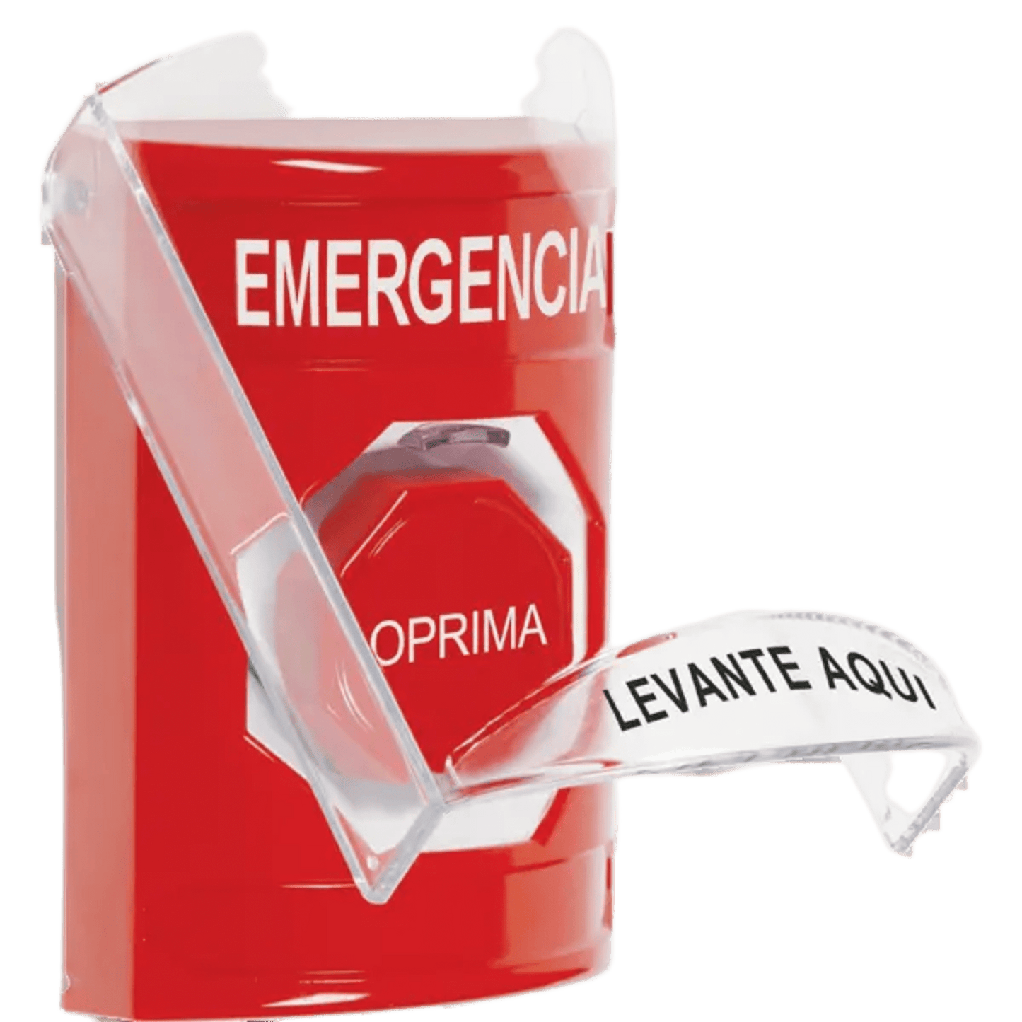 portada_0S2000_835c7a93-a316-44e2-baa9-2af6cfba612b - Digital Shop México.